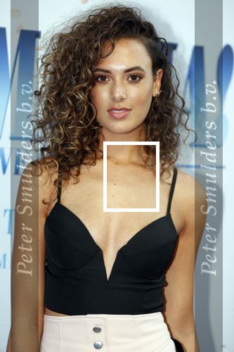 Amsterdam 17 juli 2018
Premiere Mamma mia in Tuschinski. Joey Ivory