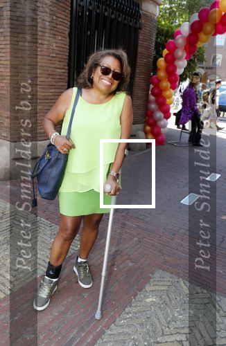 Amsterdam 15 juli 2018
Frits Huffnagel feestje voor zijn 50e verjaardag bij hotel the Grand. Justine Pelmelay op krukken