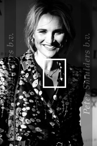 Amsterdam 10 juli 2018
Uitreiking leading ladies awards in hotel the Grand. Lieke v Lexmond