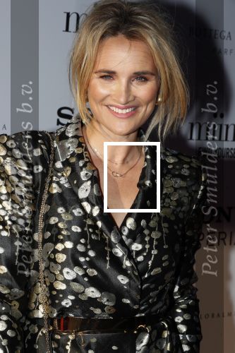 Amsterdam 10 juli 2018
Uitreiking leading ladies awards in hotel the Grand. Lieke v Lexmond