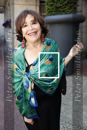 Amsterdam 15 juli 2018
Frits Huffnagel feestje voor zijn 50e verjaardag bij hotel the Grand. Liesbeth v Dijk