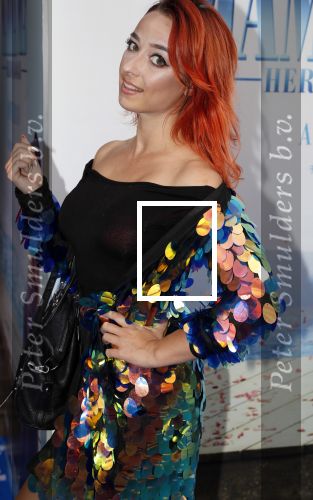 Amsterdam 17 juli 2018
Premiere Mamma mia in Tuschinski.