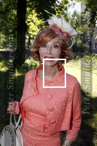 Haarzuilens 20 juni 2018
Haringparty op kasteel de Haar. Marijke Helwegen met man Harrie