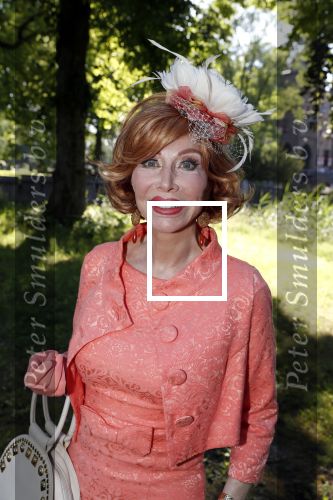 Haarzuilens 20 juni 2018
Haringparty op kasteel de Haar. Marijke Helwegen met man Harrie