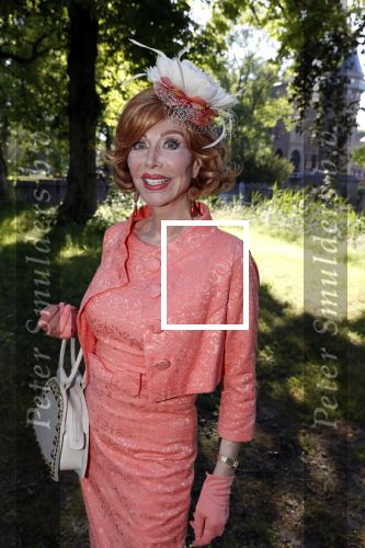 Haarzuilens 20 juni 2018
Haringparty op kasteel de Haar. Marijke Helwegen met man Harrie