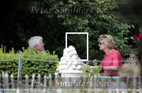 Maarssen Blaricum 7 juli 2018
Berend Boudewijn gaat wandelen bij de Maarsenveense Plassen en daarna rijdt hij naar het Ter Gooi ziekenhuis waar hij zijn vrouw Martine Bijl ophaalt. Daarna gaan ze lunchen bij restaurant de Goede Gooijer.