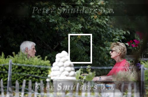 Maarssen Blaricum 7 juli 2018
Berend Boudewijn gaat wandelen bij de Maarsenveense Plassen en daarna rijdt hij naar het Ter Gooi ziekenhuis waar hij zijn vrouw Martine Bijl ophaalt. Daarna gaan ze lunchen bij restaurant de Goede Gooijer.