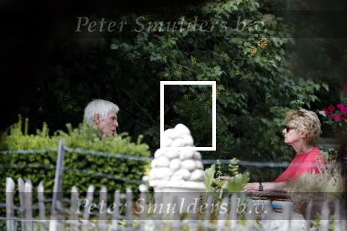 Maarssen Blaricum 7 juli 2018
Berend Boudewijn gaat wandelen bij de Maarsenveense Plassen en daarna rijdt hij naar het Ter Gooi ziekenhuis waar hij zijn vrouw Martine Bijl ophaalt. Daarna gaan ze lunchen bij restaurant de Goede Gooijer.