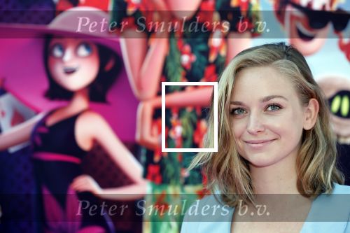 Amsterdam 15 juli 2018
De feestelijke Nederlandse premiÃ¨re van 
HOTEL TRANSSYLVANIÃ‹ 3 in PathÃ© Arena te Amsterdam. De Nederlandse stemacteurs Charly Luske, Fernando Halman, Ferry Doedens, Ilse Warringa, Tony Neef zijn aanwezig . Pip Pellens