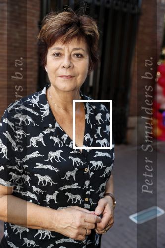 Amsterdam 15 juli 2018
Frits Huffnagel feestje voor zijn 50e verjaardag bij hotel the Grand. Rita Verdonk