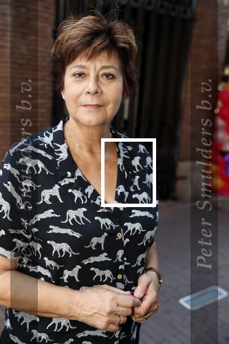 Amsterdam 15 juli 2018
Frits Huffnagel feestje voor zijn 50e verjaardag bij hotel the Grand. Rita Verdonk