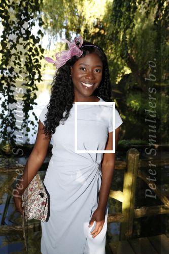 Haarzuilens 20 juni 2018
Haringparty op kasteel de Haar. Stephanie Duncan Williams