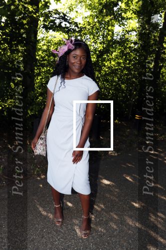 Haarzuilens 20 juni 2018
Haringparty op kasteel de Haar. Stephanie Duncan Williams