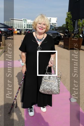 Amsterdam 6 juli 2018
Gordon viert zijn 50e verjaardag bij de Harbour Club en gaat daarna varen met de roze MS de Jordaan. Tineke de Nooij