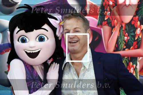 Amsterdam 15 juli 2018
De feestelijke Nederlandse premiÃ¨re van 
HOTEL TRANSSYLVANIÃ‹ 3 in PathÃ© Arena te Amsterdam. De Nederlandse stemacteurs Charly Luske, Fernando Halman, Ferry Doedens, Ilse Warringa, Tony Neef zijn aanwezig .