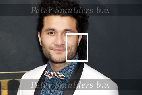 Amsterdam 15 juli 2019
Premiere the lion king in tuschinski. Alkan Coklu