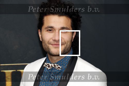 Amsterdam 15 juli 2019
Premiere the lion king in tuschinski. Alkan Coklu