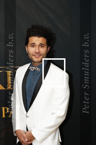 Amsterdam 15 juli 2019
Premiere the lion king in tuschinski. Alkan Coklu