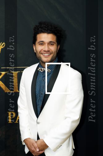 Amsterdam 15 juli 2019
Premiere the lion king in tuschinski. Alkan Coklu