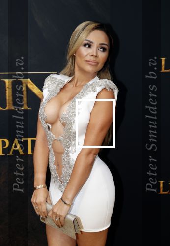 Amsterdam 15 juli 2019
Premiere the lion king in tuschinski. Amanda Balk