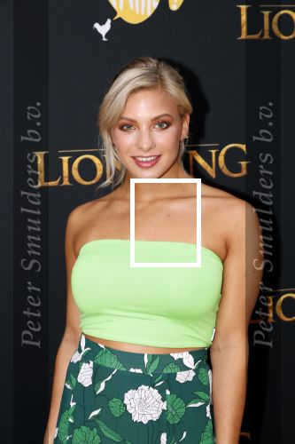 Amsterdam 15 juli 2019
Premiere the lion king in tuschinski. Amber Deli