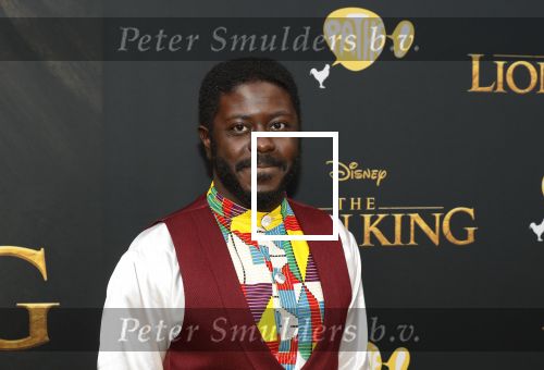 Amsterdam 15 juli 2019
Premiere the lion king in tuschinski. Andre Dongelmans met â€¦