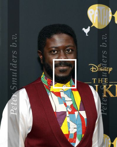 Amsterdam 15 juli 2019
Premiere the lion king in tuschinski. Andre Dongelmans met â€¦
