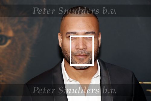 Amsterdam 15 juli 2019
Premiere the lion king in tuschinski. Everon Jackson Hooi met ex vriend