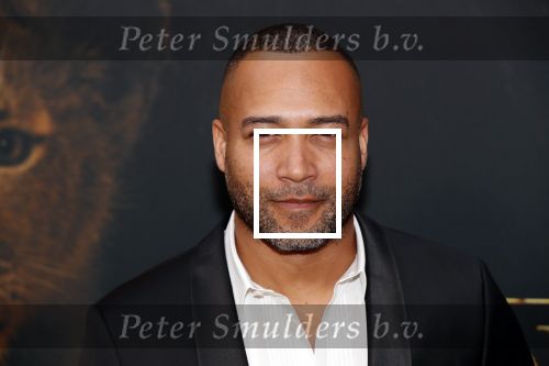 Amsterdam 15 juli 2019
Premiere the lion king in tuschinski. Everon Jackson Hooi met ex vriend