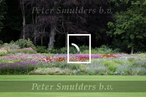 Den Haag 19 juli 2019
Jaarlijkse fotouurtje in de thuisn van Huis ten Bosch . Aanwezig Koning Willem Alexander Koningin Maxima Prinses Amalia Alexia en Ariane.