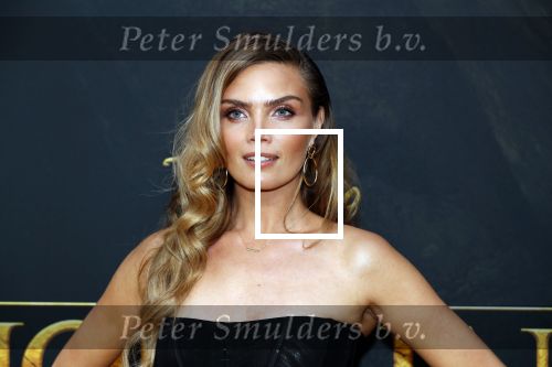 Amsterdam 15 juli 2019
Premiere the lion king in tuschinski. Kim Feenstra met vriend
