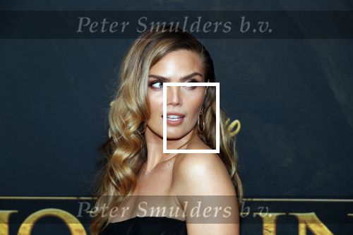 Amsterdam 15 juli 2019
Premiere the lion king in tuschinski. Kim Feenstra met vriend