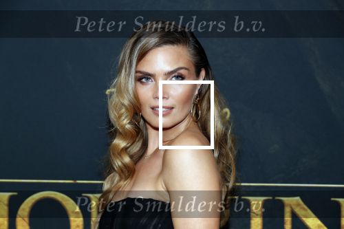 Amsterdam 15 juli 2019
Premiere the lion king in tuschinski. Kim Feenstra met vriend