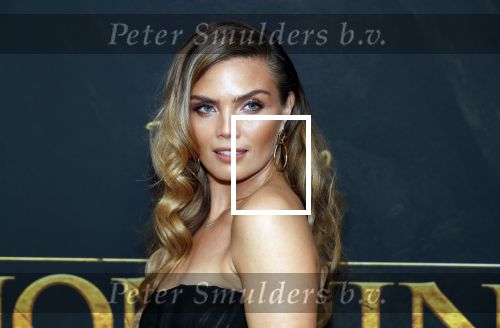Amsterdam 15 juli 2019
Premiere the lion king in tuschinski. Kim Feenstra met vriend
