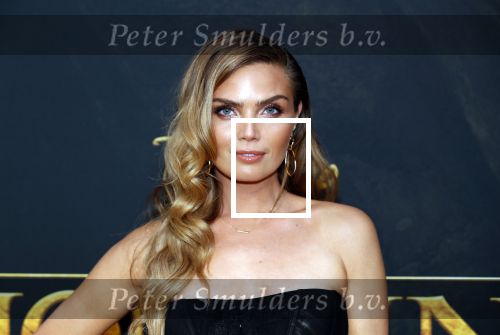 Amsterdam 15 juli 2019
Premiere the lion king in tuschinski. Kim Feenstra met vriend