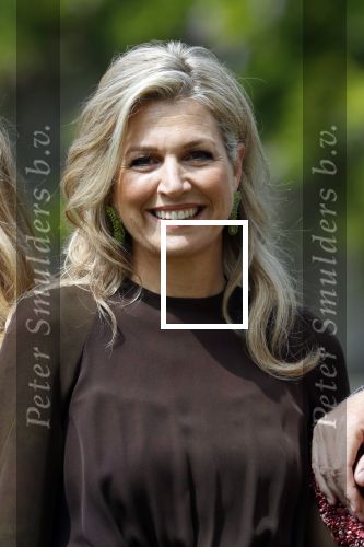 Den Haag 19 juli 2019
Jaarlijkse fotouurtje in de thuisn van Huis ten Bosch . Aanwezig Koning Willem Alexander Koningin Maxima Prinses Amalia Alexia en Ariane.