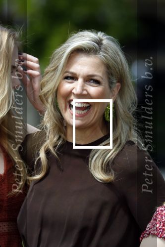 Den Haag 19 juli 2019
Jaarlijkse fotouurtje in de thuisn van Huis ten Bosch . Aanwezig Koning Willem Alexander Koningin Maxima Prinses Amalia Alexia en Ariane.