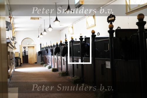 Den Haag 26 juli 2019
Binnenkijken op paleis Noordeinde en bij de koninklijke stallen met Frank en Rogier van het sbs6 programma paleis voor een prikkie.