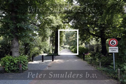 Den Haag 26 juli 2019
Binnenkijken op paleis Noordeinde en bij de koninklijke stallen met Frank en Rogier van het sbs6 programma paleis voor een prikkie.
