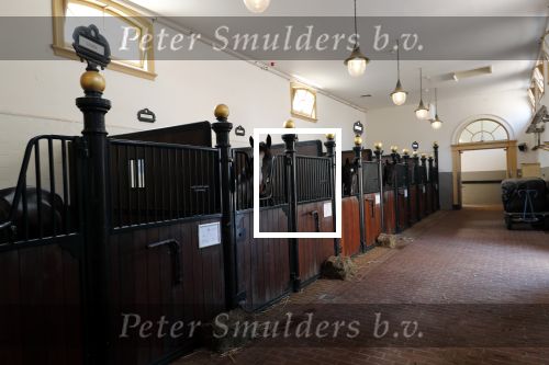 Den Haag 26 juli 2019
Binnenkijken op paleis Noordeinde en bij de koninklijke stallen met Frank en Rogier van het sbs6 programma paleis voor een prikkie.
