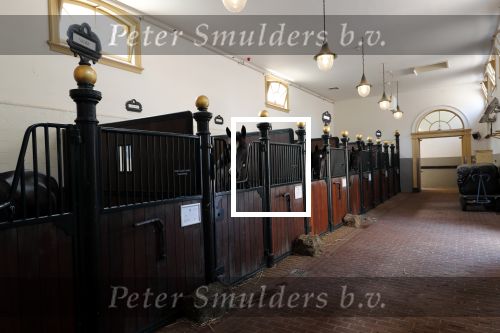 Den Haag 26 juli 2019
Binnenkijken op paleis Noordeinde en bij de koninklijke stallen met Frank en Rogier van het sbs6 programma paleis voor een prikkie.