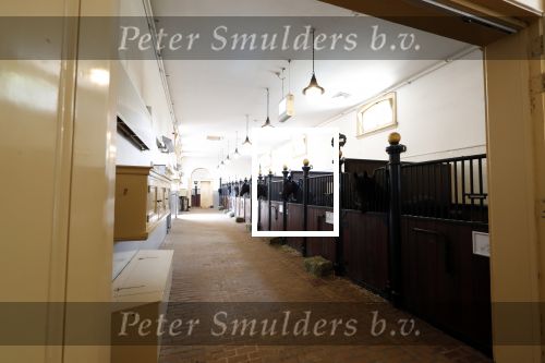 Den Haag 26 juli 2019
Binnenkijken op paleis Noordeinde en bij de koninklijke stallen met Frank en Rogier van het sbs6 programma paleis voor een prikkie.