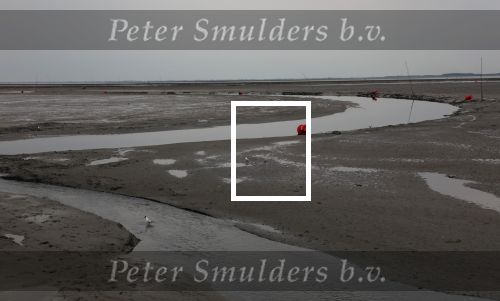 Schiermonnikoog, 19 Juli 2019
Jachthaven Schiermonnikoog
Laag water bij entree jachthaven