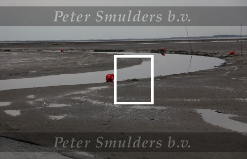 Schiermonnikoog, 19 Juli 2019
Jachthaven Schiermonnikoog
Laag water bij entree jachthaven