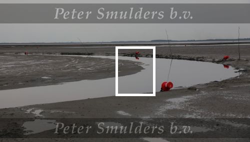Schiermonnikoog, 19 Juli 2019
Jachthaven Schiermonnikoog
Laag water bij entree jachthaven