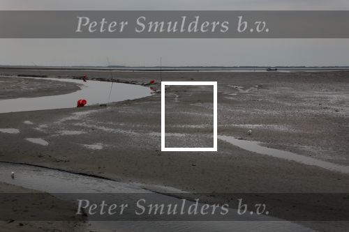 Schiermonnikoog, 19 Juli 2019
Jachthaven Schiermonnikoog
Laag water bij entree jachthaven