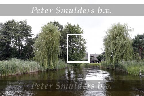 Loosdrecht 14 juli 2019
Huis van laurent Hompes op een eilandje voor Loosdrecht. Er staan paardestallen en heeft een eigen strand.