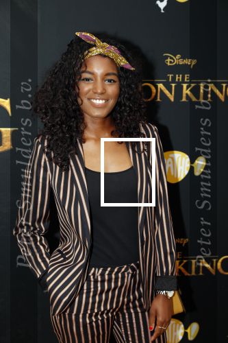 Amsterdam 15 juli 2019
Premiere the lion king in tuschinski.