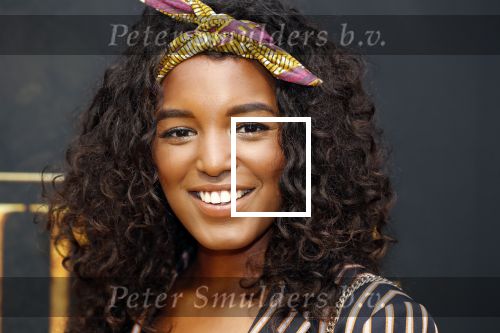 Amsterdam 15 juli 2019
Premiere the lion king in tuschinski.