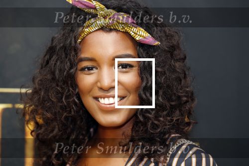 Amsterdam 15 juli 2019
Premiere the lion king in tuschinski.